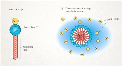 Как мыло удаляет масляное пятно
